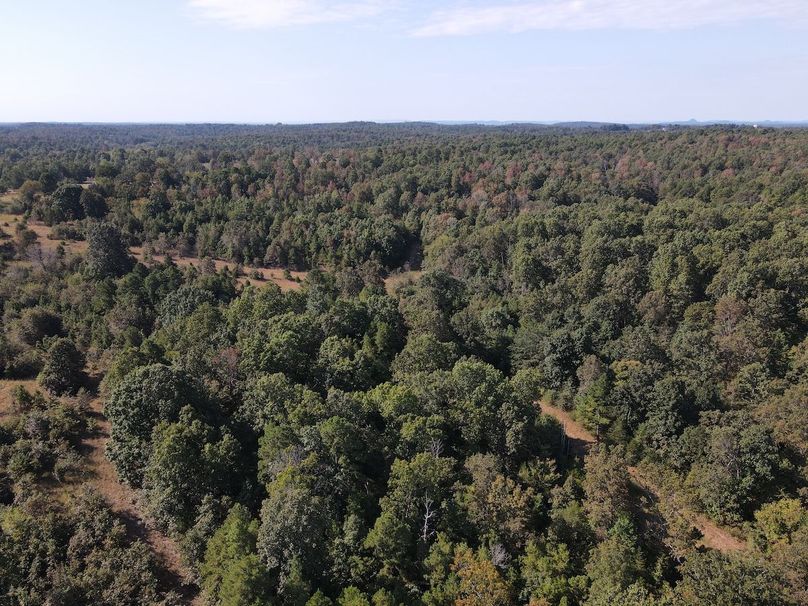 dji_fly_20250902_095440_725_1756824978195_photo