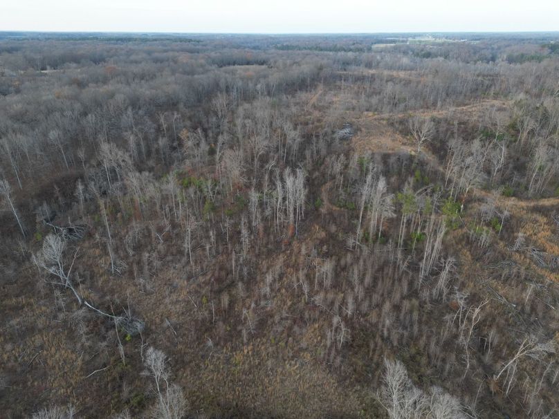 dji_fly_20231130_052322_261_1701905205403_photo