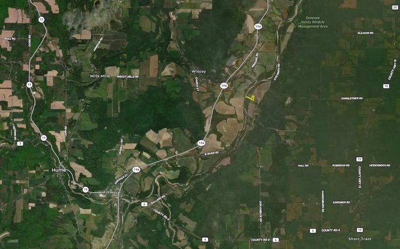 zoomed out