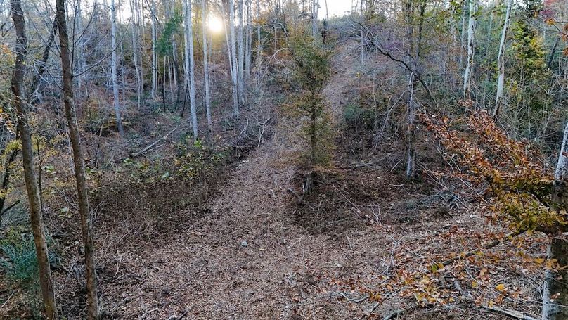 DJI_20251111155258_0064_D