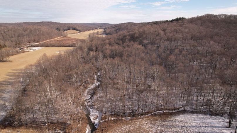 DJI_0373