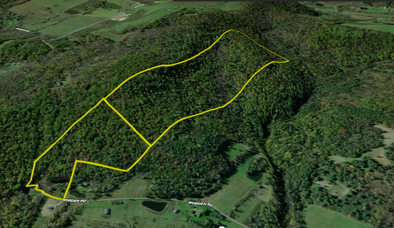 Tioga NY 86.705 Capwell Landid_1