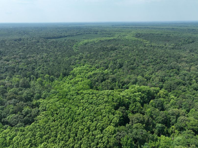 dji_fly_20230530_111420_132_1685483426469_photo