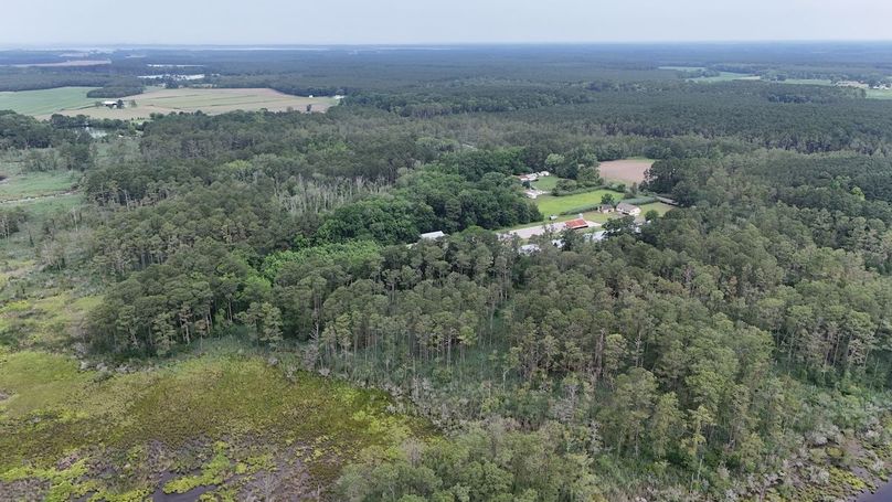 IMG3_58AC_dji_fly_20250613_102510_0006_1749852324285_photo