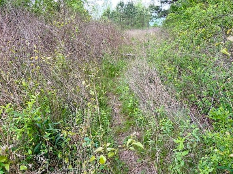 6E76B68A-30FC-4D43-85F1-33A3BDB08649_1_105_c