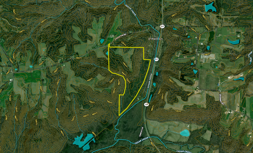 Screenshot 2023-08-08 at 3.40.45 PM