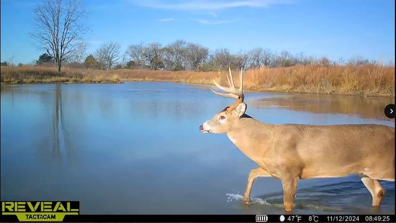 Screenshot_24-1-2026_81922_drive.google.com