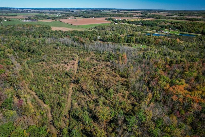 Wood 41.451, Collins -49