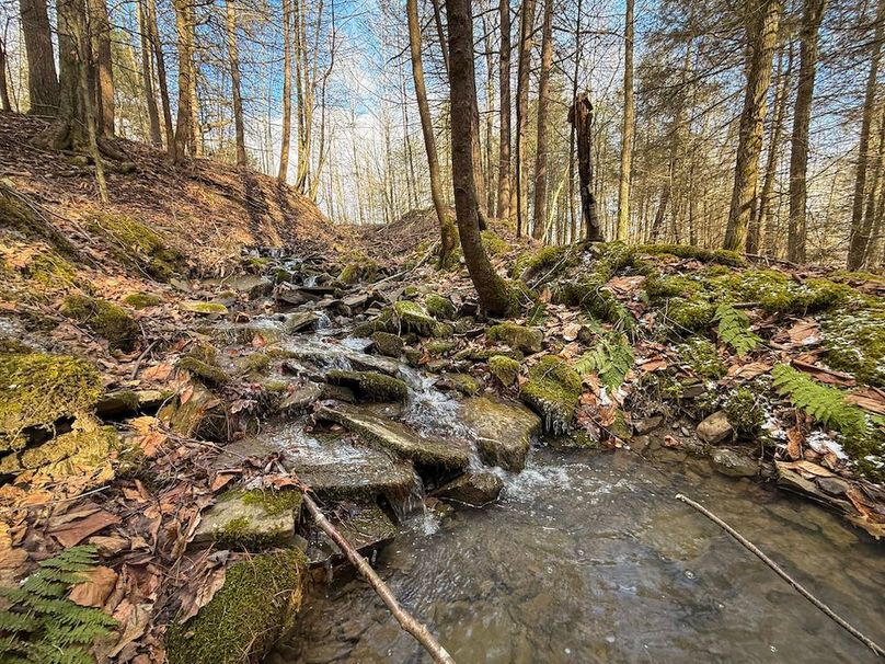 Chemung_59.65_Kocsis_photos_25