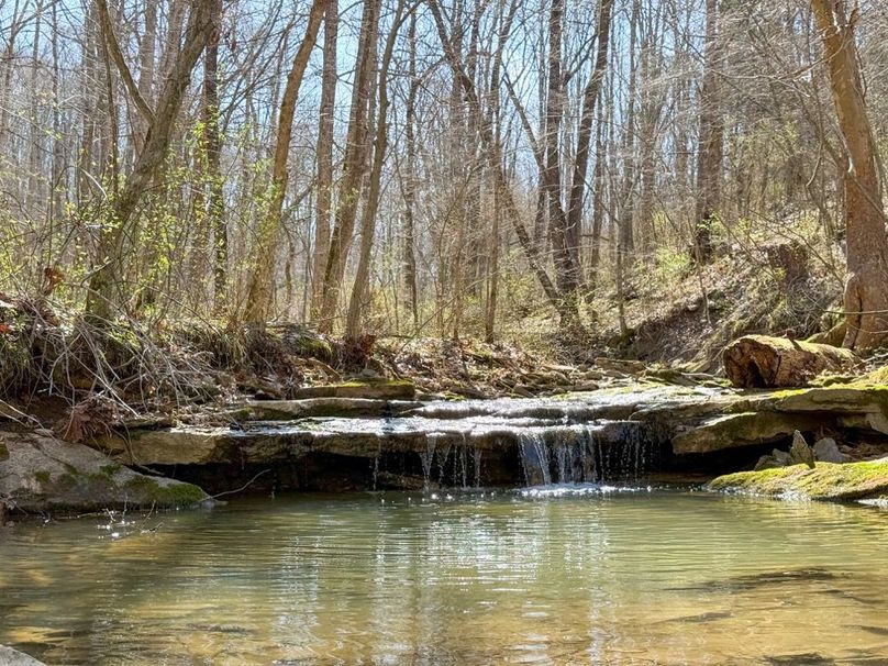 Fleming Petry 120-071