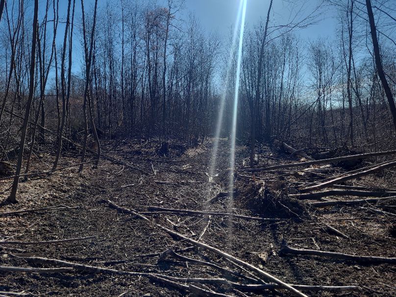 photo_1f41fcb2-6639-48fe-9203-14baa9f9fc11