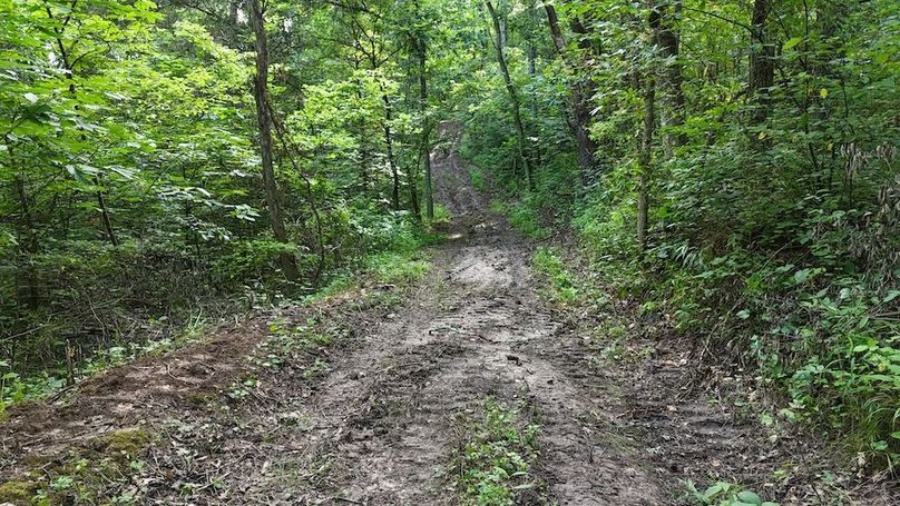 DJI_20250712094004_0763_D