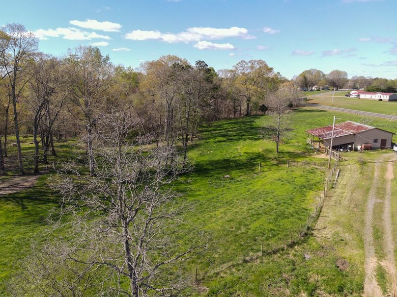 dji_fly_20240405_100340_322_1712325950114_photo