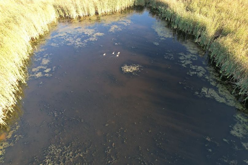 dji_fly_20250922_180854_969_1758582767603_photo