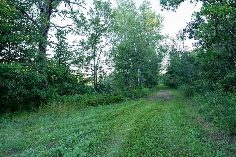 Cass MN 1095 Featured ProPhoto-19