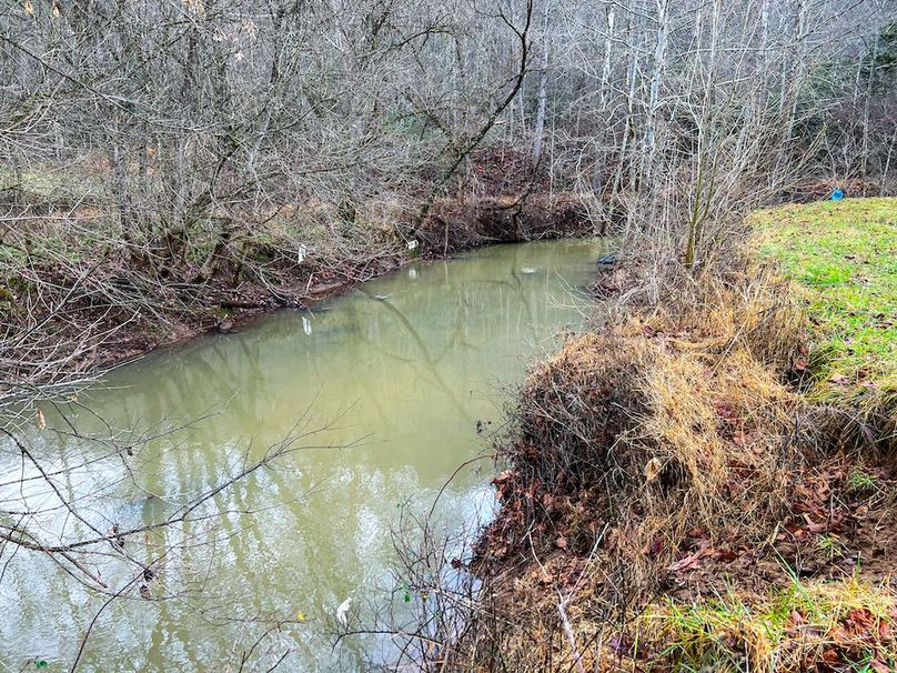 Calhoun, WV 225.69 AC Duffield-19