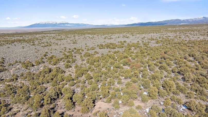 DJI_20260215145353_0141_D_1