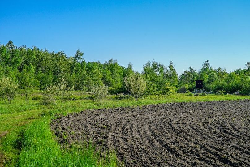 DSC01294