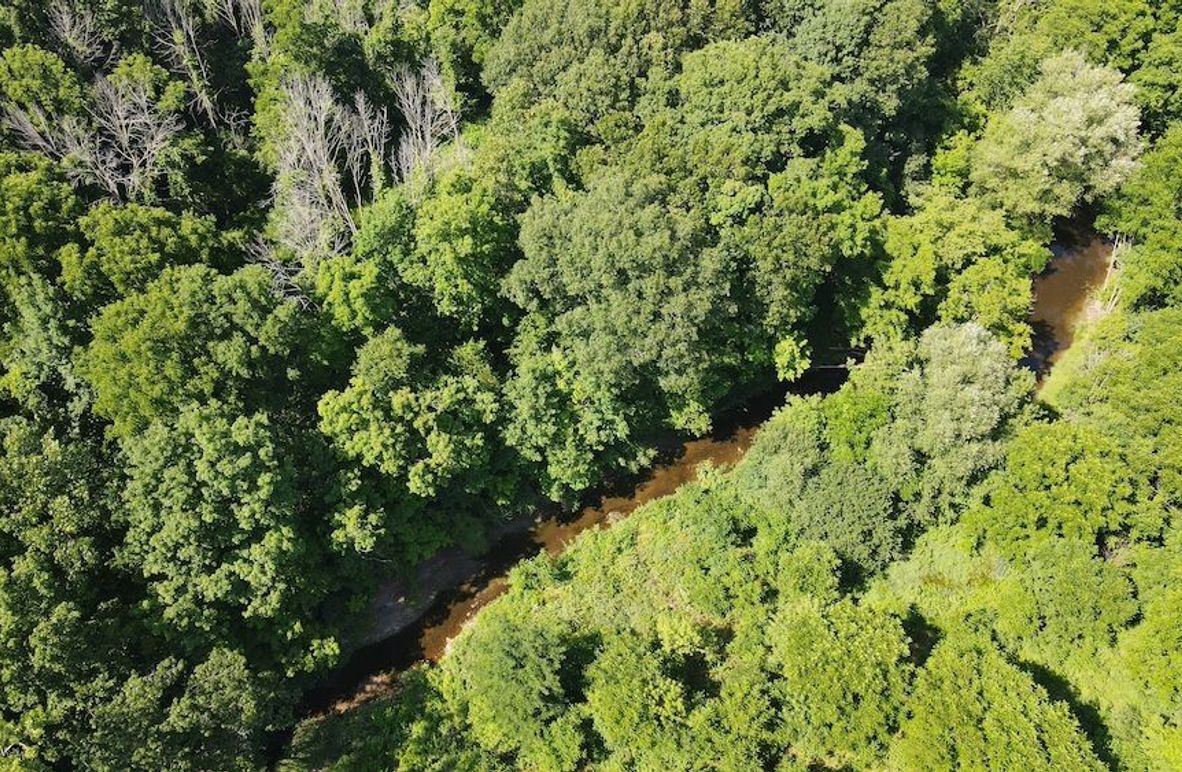 2 dji_fly_20250713_155850_84_1752436945867_photo