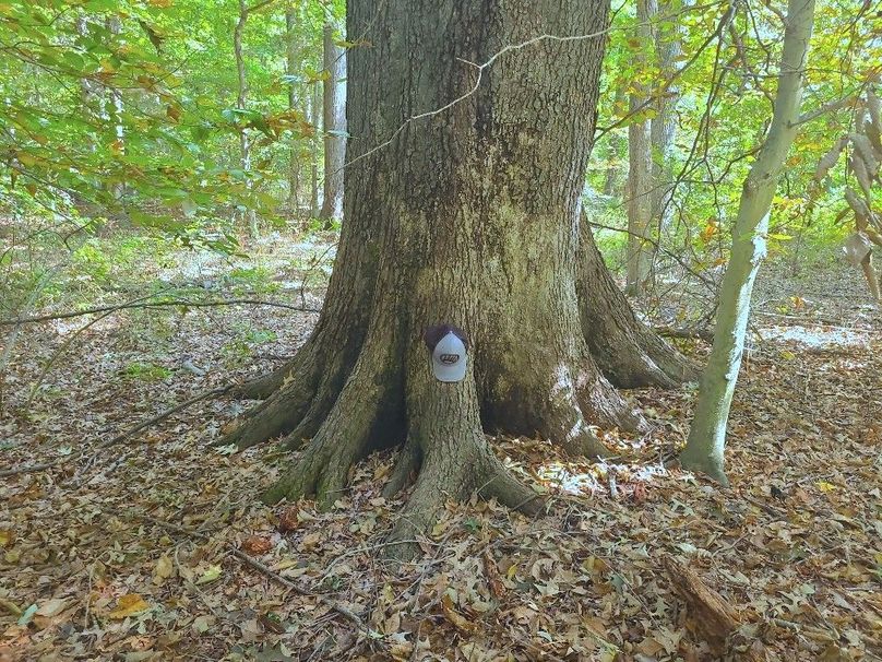 31.40ac_QAnnes_PIC_001_MAIN PIC