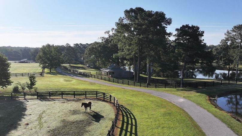 DJI_20250912004451_0383_D