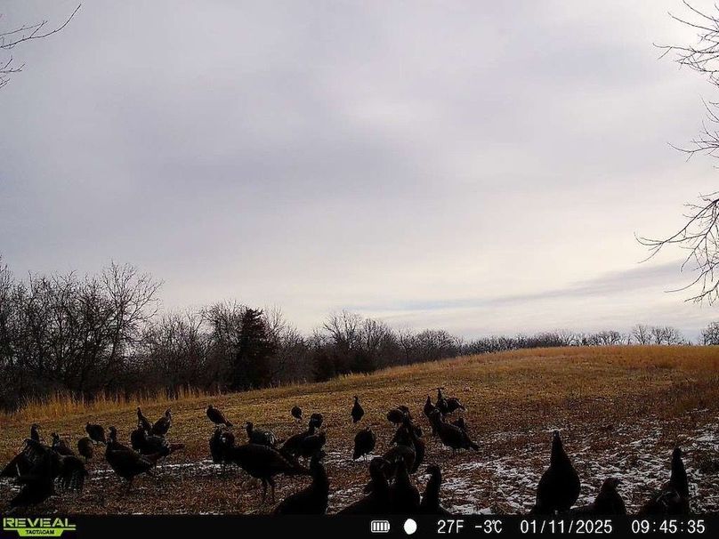 860322064036699-100-4-01112025094534-W1003366