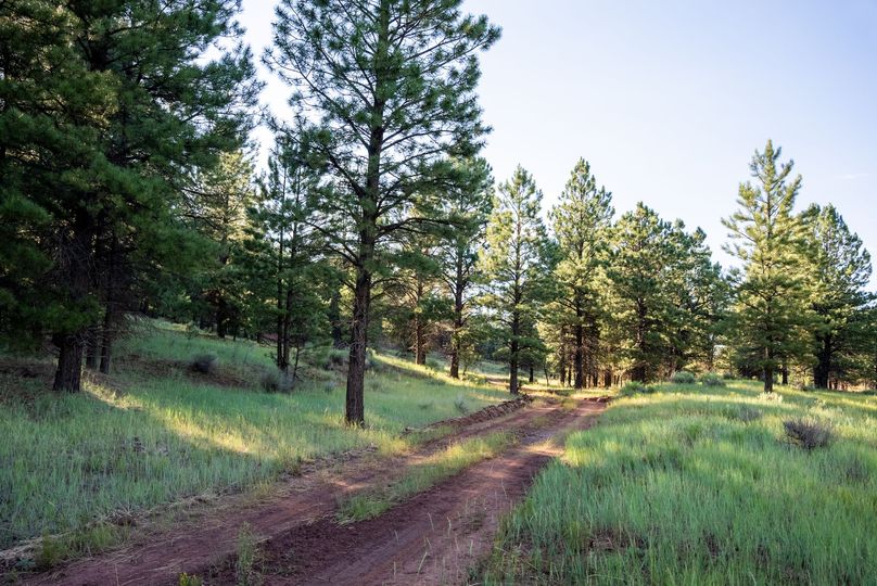 Cibola NM 13,053--84