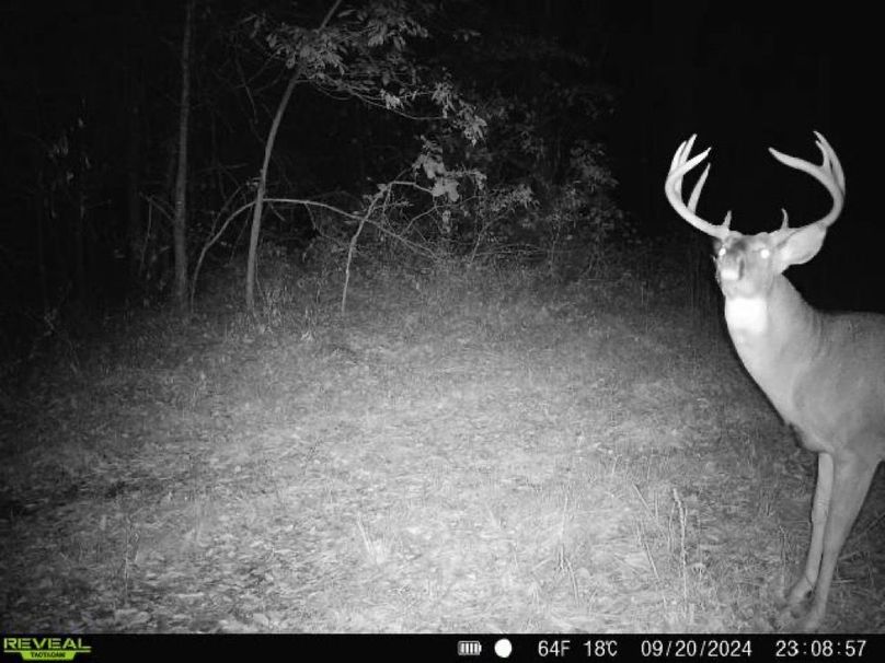 860322061934193-100-4-09202024230856-W1007667