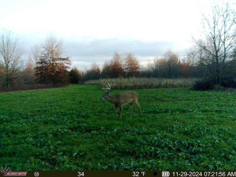 thumb-df5a3f32a4dc93a040fab937935ffc7e7004eb92 (1)