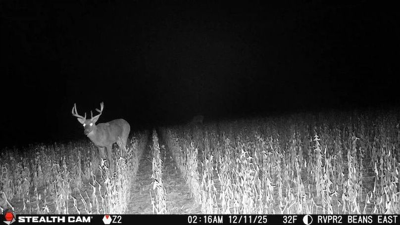 2025121102163401006228_ColorizationType.none