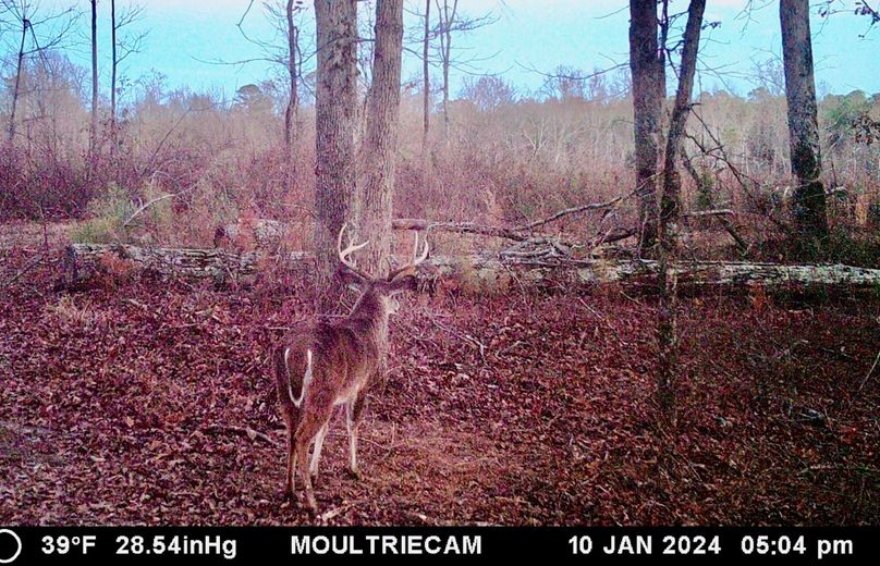 Screenshot_20240116_062417