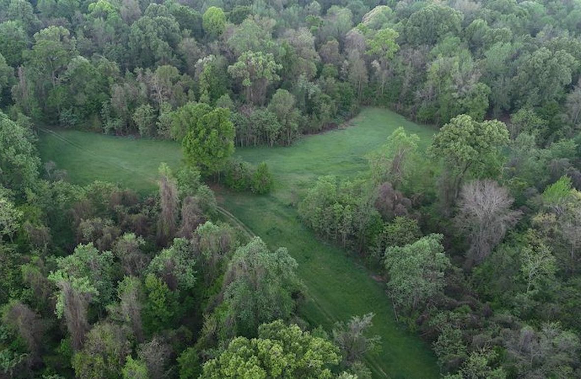 Claiborne Co-314-Fernandez-5