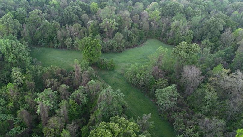 Claiborne Co-314-Fernandez-5