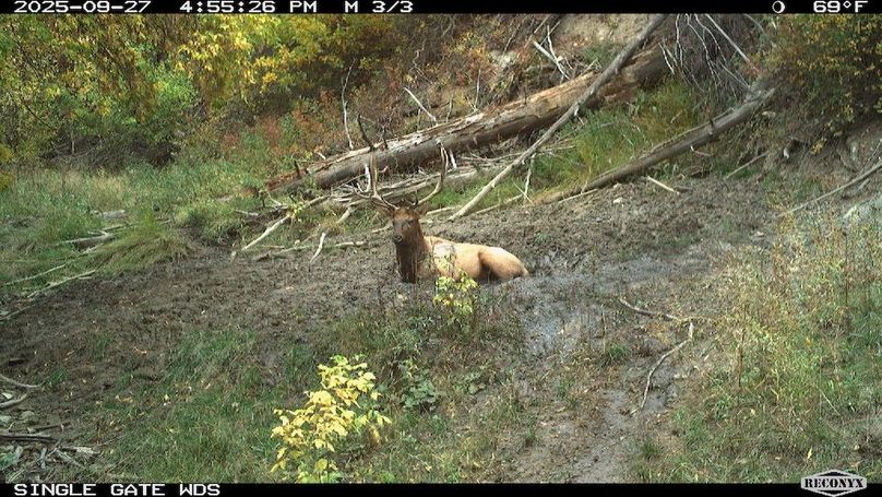 331FD0EF-1C27-4D27-B983-A483ECE245E4