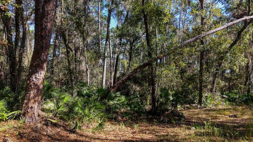 Copy of DJI_20251204000926_0732_D