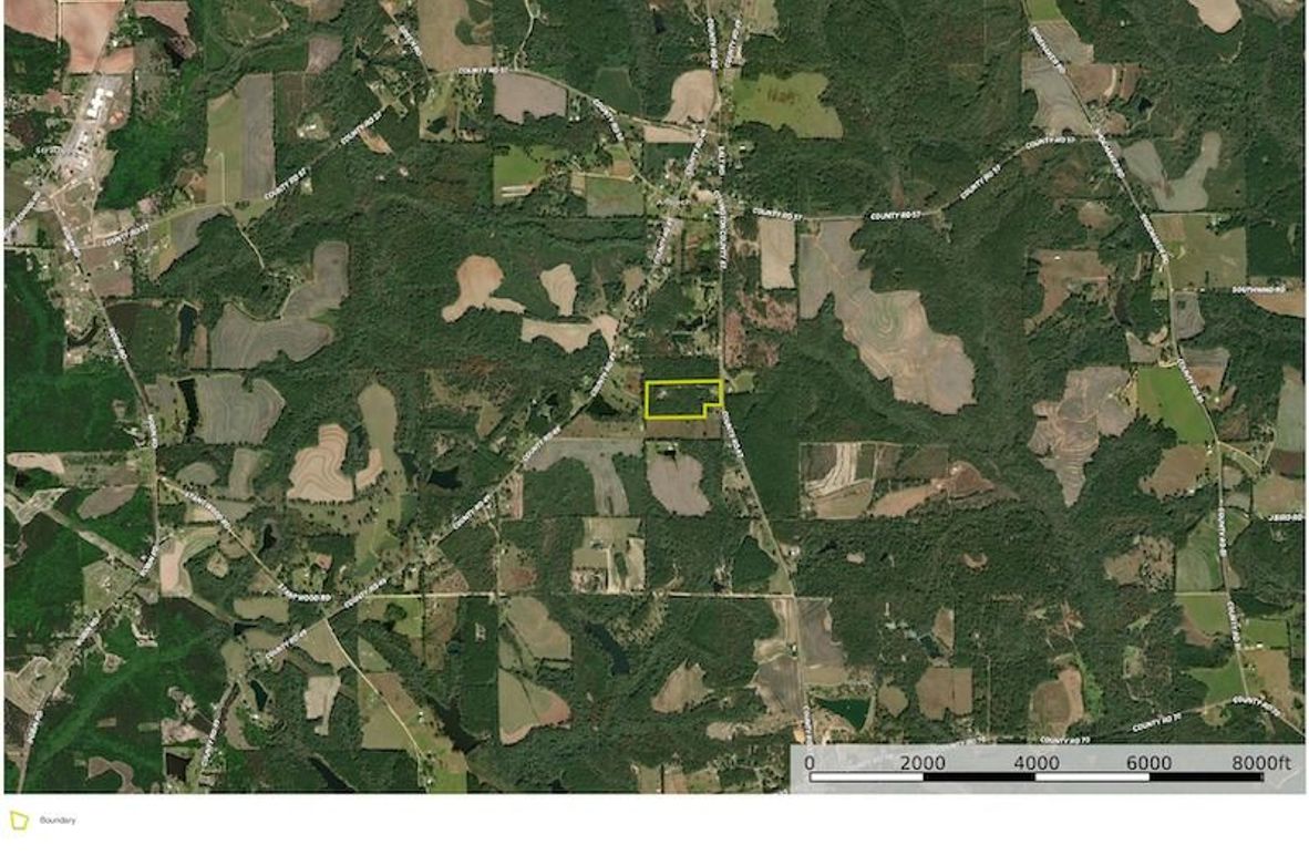 Aerial #2 - 14.68 Acres Covington, AL - Pritchett