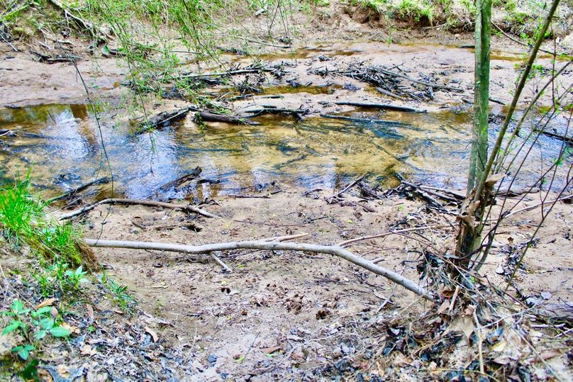 09ECB225-641E-4349-B825-F30668BC15F7_1_105_c