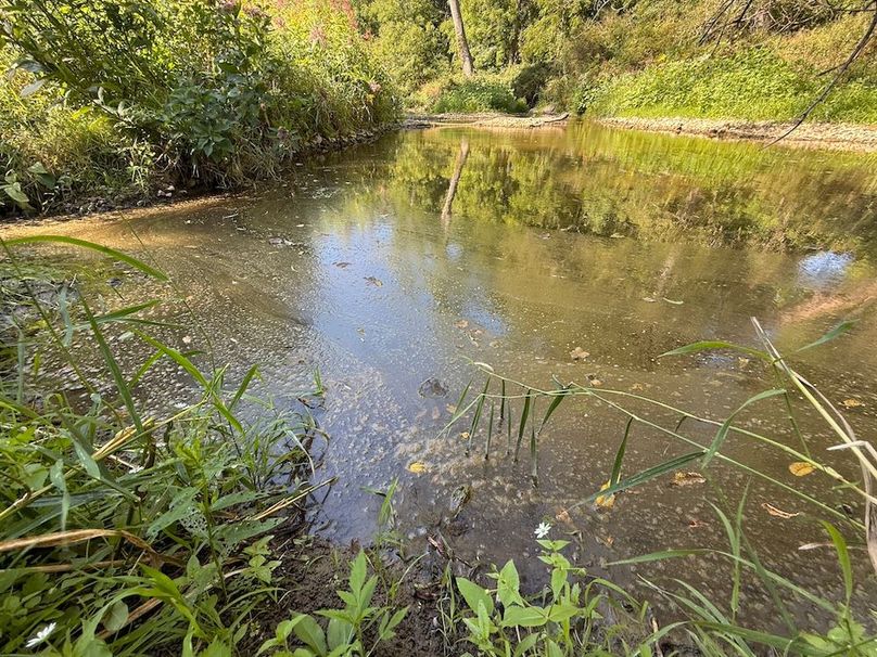 Cayuga_5.7_Cotten Photo 21