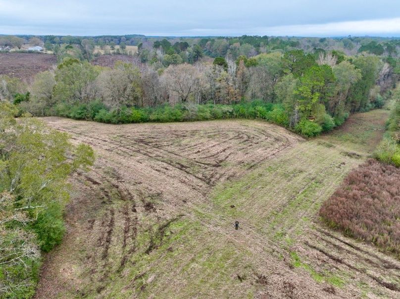 CC62E133-678A-4E76-9893-44B16DB571A5_1_201_a-2