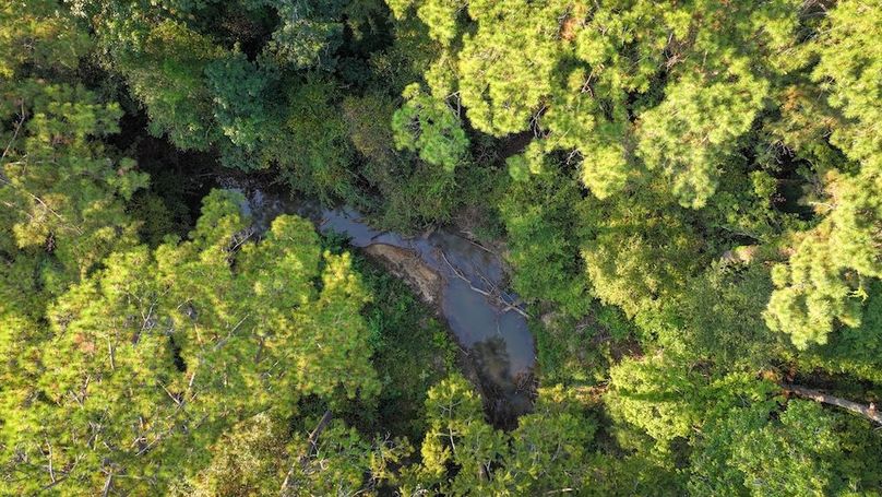 DJI_20250918082205_0140_D