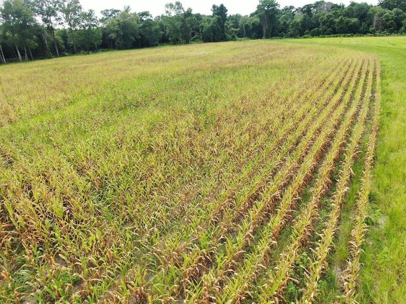 FC2D47C6-1DF8-4C1A-91EB-E4582B3CB4C9