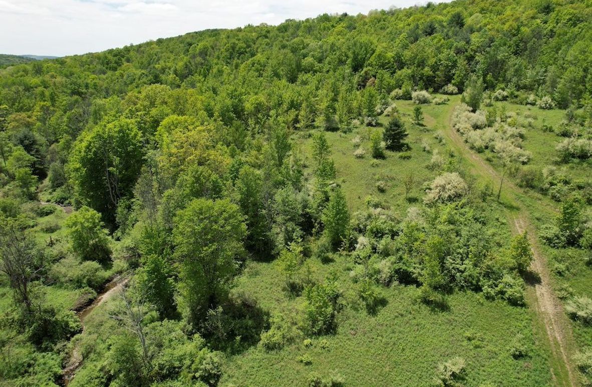 Chemung_100_Nye Photo 1