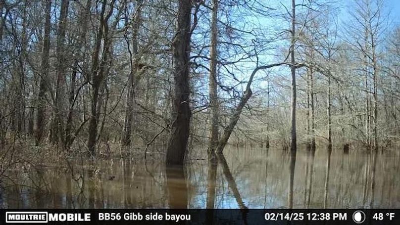 1695345-20250214183834-daily_20250214_123800_5_9_0