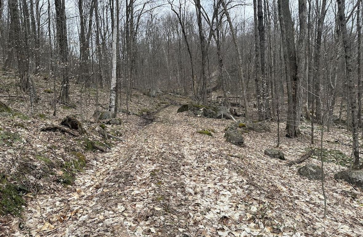 Photo Apr 22 2025, 1 08 34 PM