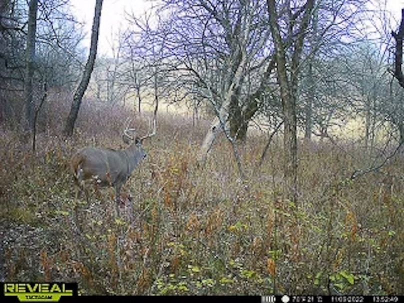 865509050418056-80-4-11092022135308-W1000866