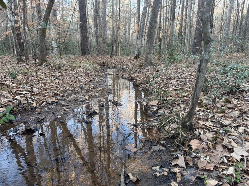 creek 2