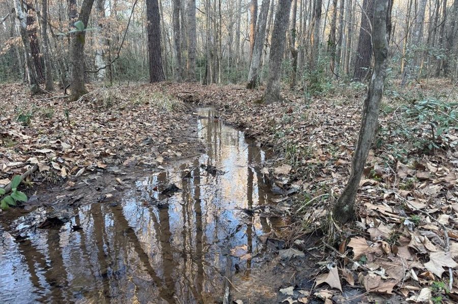 creek 2