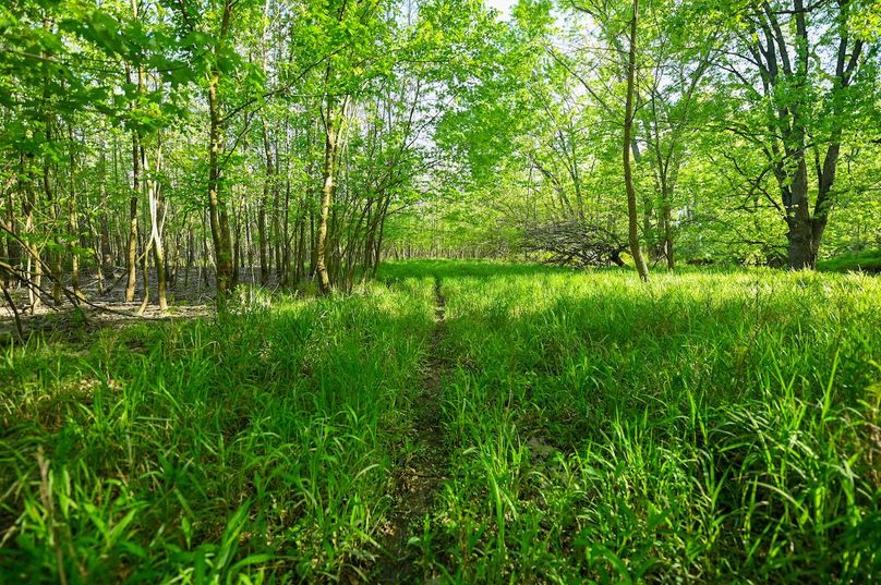 vandalia 450 (2)-3030