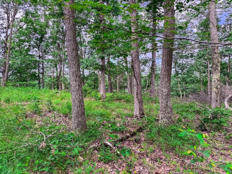 Wirt, WV 137.45 AC Full-30