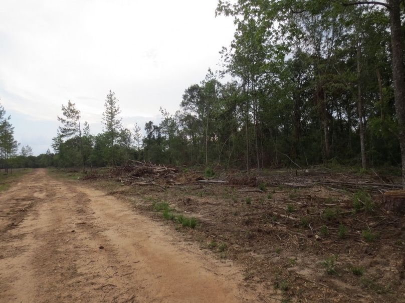 22B9EB9E-F8C2-4A99-9E29-2C776013E8B9_1_105_c